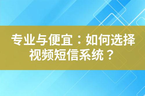 專業(yè)與便宜：如何選擇視頻短信系統(tǒng)？