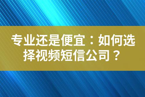 專業(yè)還是便宜：如何選擇視頻短信公司？