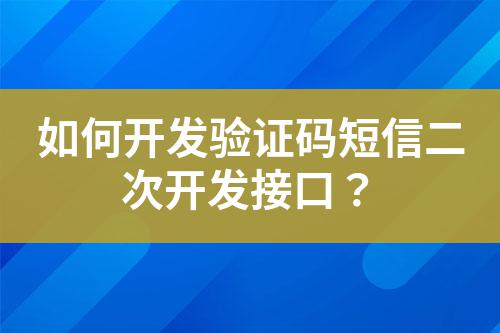 如何開發(fā)驗證碼短信二次開發(fā)接口？