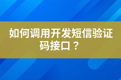 如何調(diào)用開發(fā)短信驗(yàn)證碼接口？