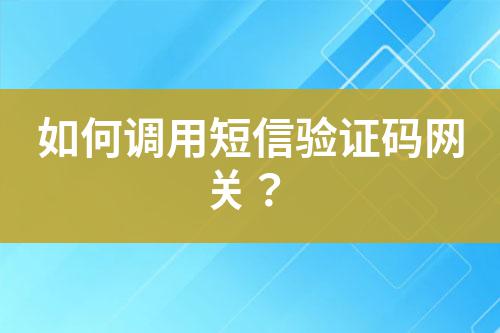 如何調用短信驗證碼網關？