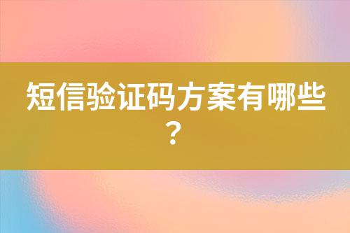 短信驗證碼方案有哪些？