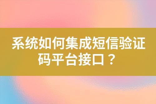系統(tǒng)如何集成短信驗證碼平臺接口？