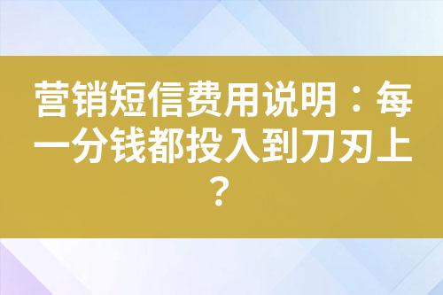 營銷短信費用說明：每一分錢都投入到刀刃上？