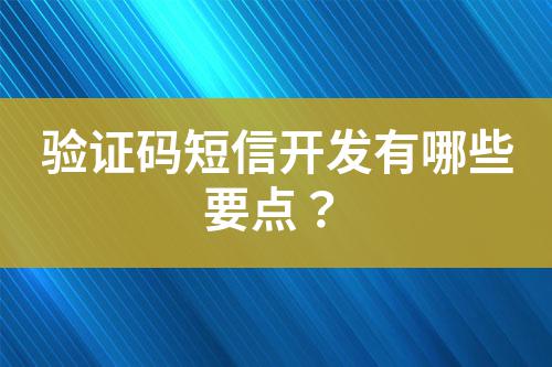 驗(yàn)證碼短信開發(fā)有哪些要點(diǎn)？